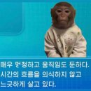 유나상사 | 🍂Oct / 27일 - Nov / 2일