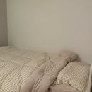 [공지] 만족도 별 다섯개! 자취생 가구 추천 (까사미아 뉴라임 수납침대, 한샘 눕소파, 이케아 이샥트...