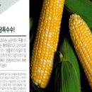 진양농자재