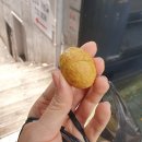 남산동역 8번출구 | 신촌역 신촌 간식 군밤 위치 운영시간 8번출구 후기