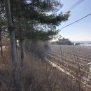 대부도 바닷가펜션 이미지