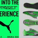 9STREET(9스트릿) 이미지