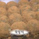 한국기행 담양 창평 쌀엿 기정떡 '담미가' (택배/위치)