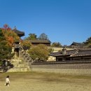 [2026년] 가족 여행 국내 추천지 총정리 (지역별·테마별 완벽 가이드)
