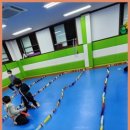 경희대 튼튼태권도 이미지