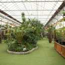 코코테로 이미지