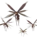 몬스터PC 이미지