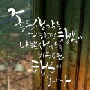 물댄동산 이미지