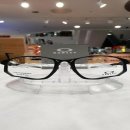 트랜디카 이미지