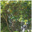 치수농장 이미지