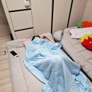 두꺼운 토퍼 추천 수면공감 우유 토퍼 매트리스 솔직후기