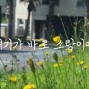 소랑전 네이버블로그