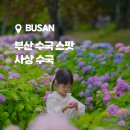 공임일번가 삼락점 창대카서비스 | 6월 부산 가볼만한 곳, 부산 사상 삼락생태공원 수국