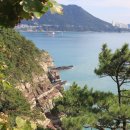 암남공원 이미지