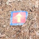 강정보 녹색길 이미지