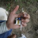 은색농장 이미지