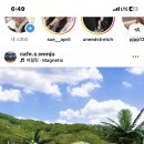 에스라이브카페 이미지