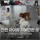 GS25 인천논현사랑 | 인천 논현동 아이랑 가볼만한 곳 다양한 견종 상주견 많은 애견카페