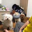 전주여행 여수여행 여수 베네치아호텔 여수밤바다 포장마차 삼합