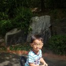 그린어린이집 이미지