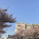 삼익비치B상가시장 이미지