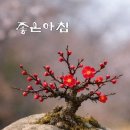 휠링 Daum카페