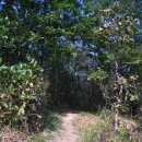 하늘이네 농장 이미지