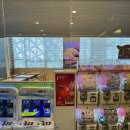 쿠우쿠우 (익산점) | [익산맛집] 쿠우쿠우 익산점 방문후기🍣 회부터 초밥까지 무한리필 만족!