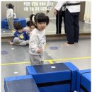 우리태권도스쿨 이미지