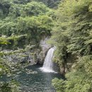 천제연폭포 관광안내소 이미지