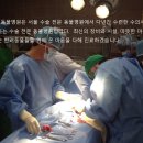 겨울나는나비 동물병원 이미지