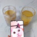 인스타 공구 오브벨르품절템 벨르엔자임 내돈내산 솔직후기 3가지맛 비교