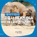 잡아시아