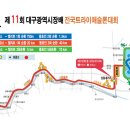 [2015.05.03] 제12회 대구시장배 전국 트라이애슬론대회 이미지