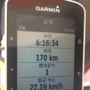 양남대구유통
