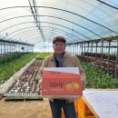 마장농장 이미지