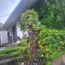 소정2마을회관 이미지