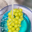 청우농장2 이미지