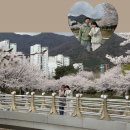 관동고분공원 | 김해 율하 부모님 모시고 가기 추천하는 수정원 + 벚꽃 산책