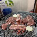 골드펫리조트 이미지