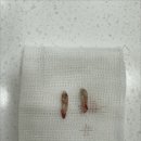 다산동물병원 이미지