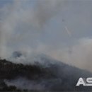 대호지축산 네이버블로그