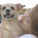 하은이네 농장 이미지