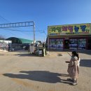 을해농장 | 강화도 체험 농장에 승마하러 다녀왔어요~~