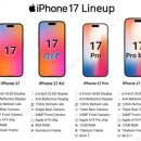 삼성웨딩크리닝 이미지