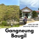 모전2교~철길지하도 가로수길 | 강원도 여행 정선 가볼만한곳 아리바우길 1코스 트레킹 코스 후기