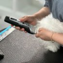 애견미용 견출지 노원점 | 노원애견미용학원 수강료지원 애견미용자격증 문의 후기