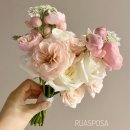 #40. 믿고 보는 루아스포사(Ruasposa), 내 결혼식은 루아가 다 했다 ✨ 지분율 100% 그 이상! (본식 후기)
