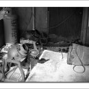 언양시장 이미지