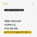 법률사무소로뎀이세준변호사